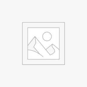 Vastu consultant
